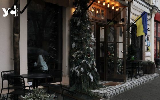 Бізнесу та організаціям в Одесі нагадали правила утримання територій у зимовий період «фото»