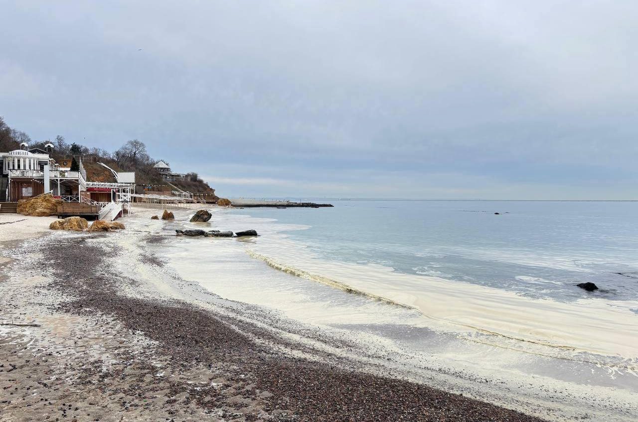 Забруднення соняшниковою олією може зберігатися на дні Чорного моря понад 6 років, – Greenpeace «фото»