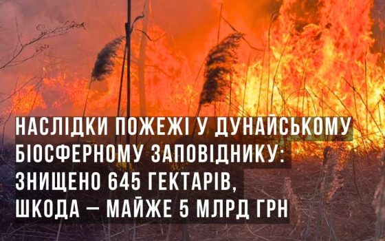 Пожежа у Дунайському біосферному заповіднику знищила 645 гектарів: шкода довкіллю склала майже 5 млрд гривень «фото»