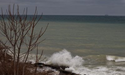 На Одещину насувається Південний циклон: завтра у місті оголосили штормове попередження (відео) «фото»