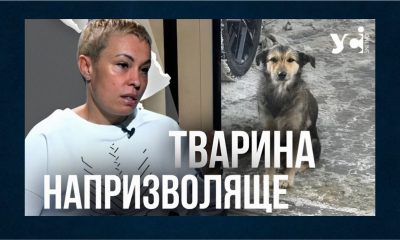 За залишення тварин напризволяще в Україні наступатиме кримінальна відповідальність — зоозахисниця (фото, відео) «фото»