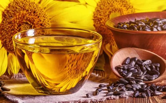 Ринок соняшнику в Україні на початку 2026 року: врожай мінімальний, експорт падає «фото»