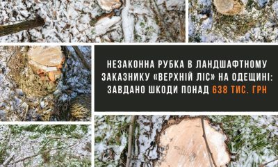 У заказнику «Верхній ліс» на Одещині незаконно зрізали 16 дерев «фото»