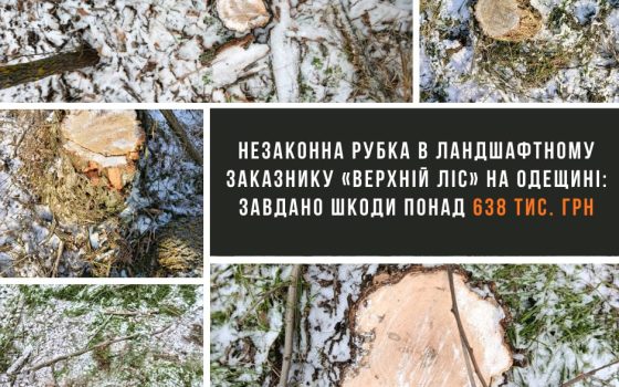 У заказнику «Верхній ліс» на Одещині незаконно зрізали 16 дерев «фото»