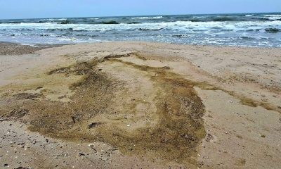 На узбережжі Одещини знову виявили пляму рослинної олії (відео) «фото»