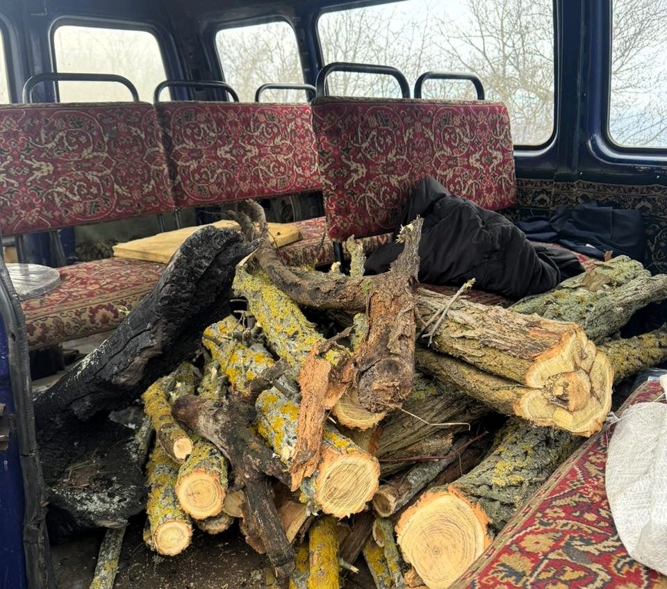 Екоінспектори виявили незаконну рубку дерев у Білгород-Дністровському районі Одещини (фото) «фото»