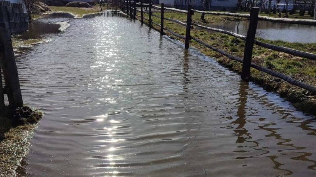 На Одещині річка Тилигул вийшла з берегів «фото»