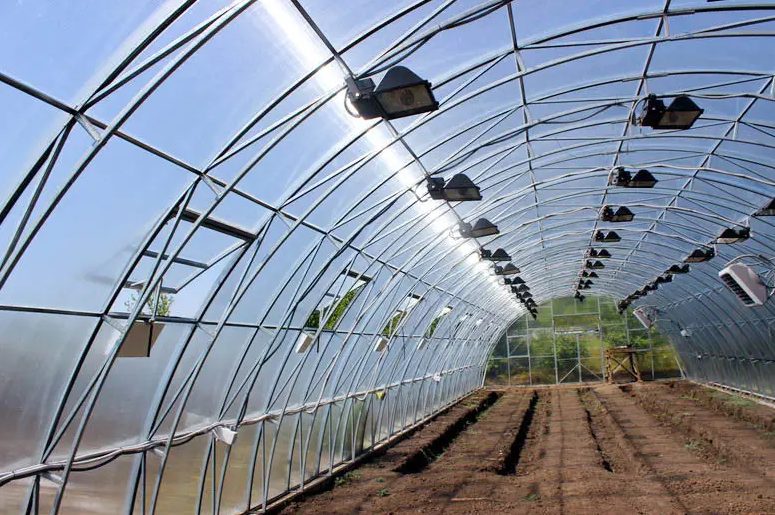 Війна не зупинила аграріїв: в Україні за три роки з’явилися понад 117 гектарів теплиць «фото»