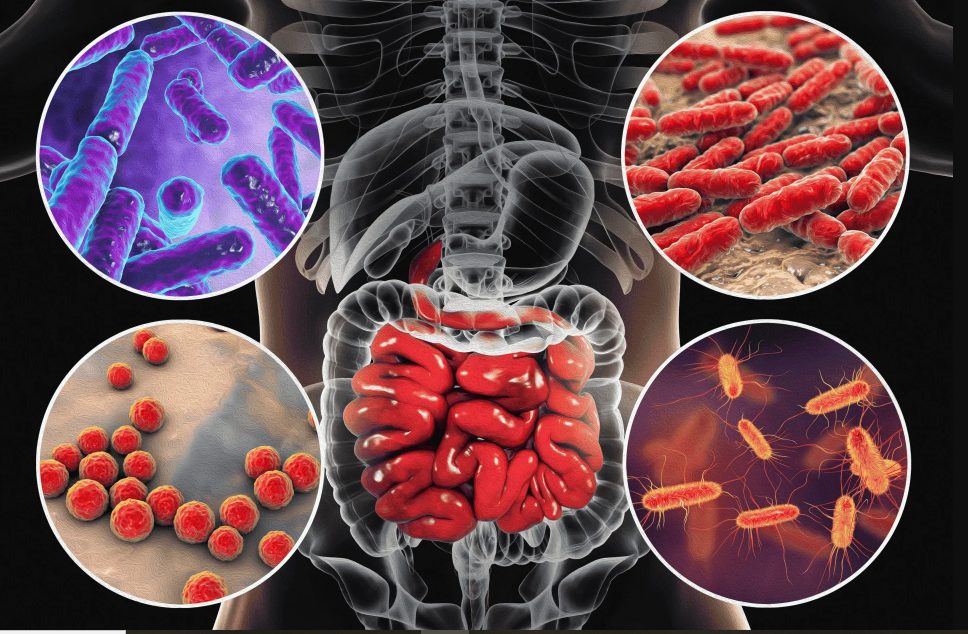Відключення світла і води в Одеській області підвищують ризик кишкових інфекцій «фото»
