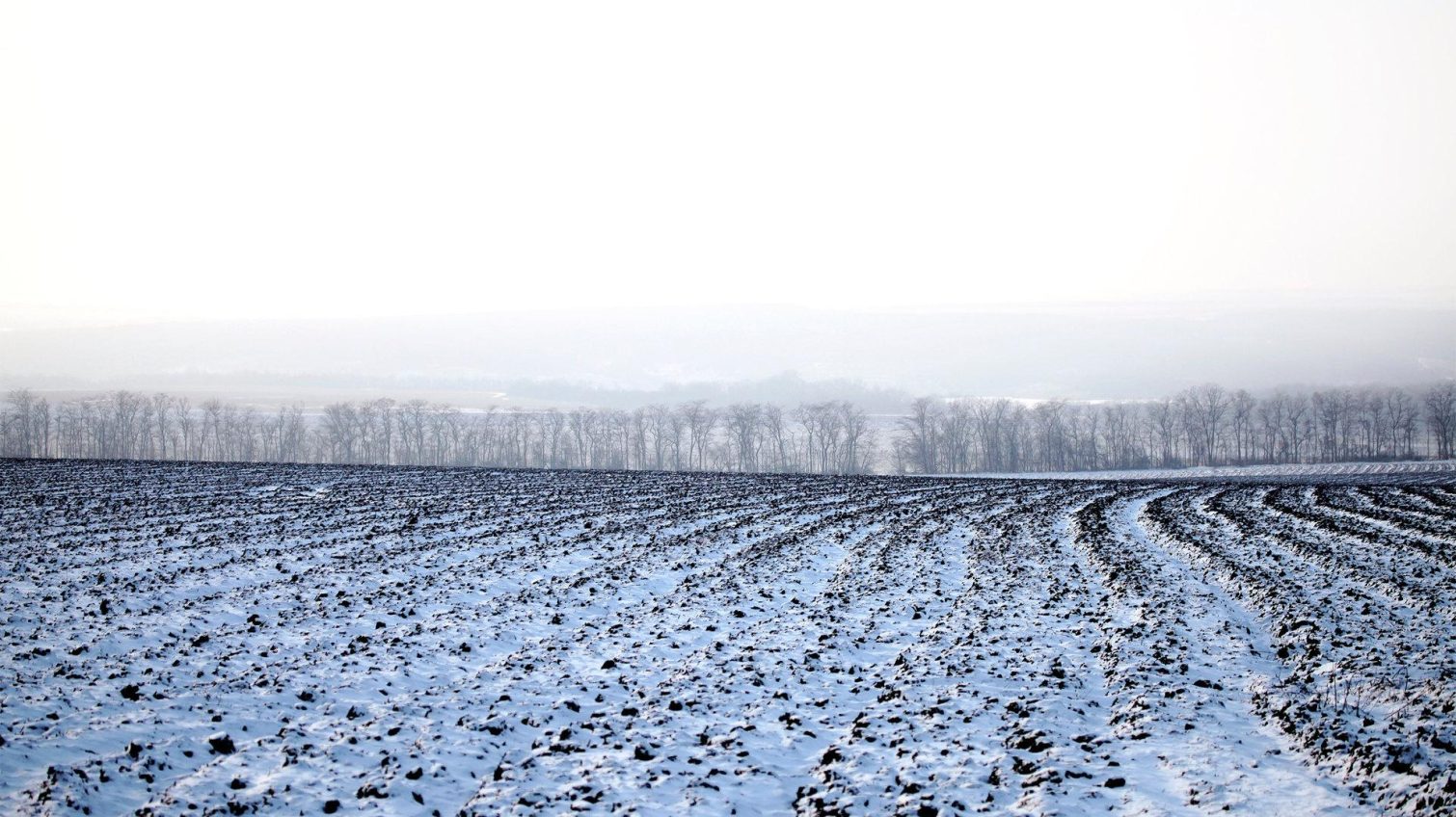 Майже третина усіх земельних ділянок України належать 10 компаніям «фото»