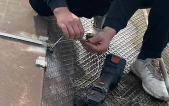 «Чорний» експорт сої: бізнесмен ухилився від податків на 19 млн грн (фото) «фото»